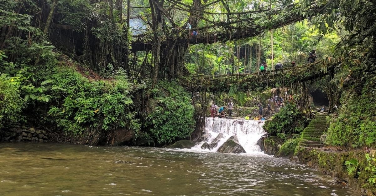 living Root Bridges of Meghalaya