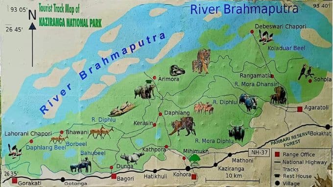 Safari and travel in Kaziranga National Park