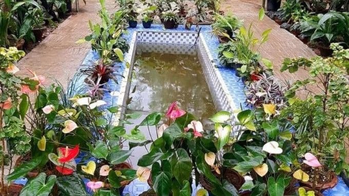 kaziranga orchid park entry fess and tickets