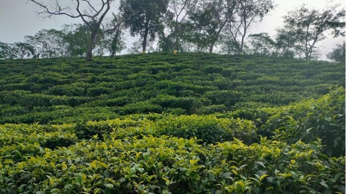 What To Do In Guwahati For A day